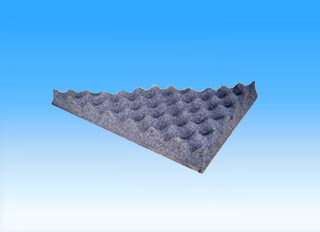 ������Ⱥ���